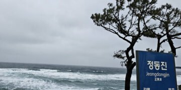 정동진 역 앞 바다 풍경